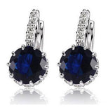 Delicate Luxurious Earrings