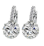 Delicate Luxurious Earrings