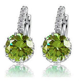 Delicate Luxurious Earrings